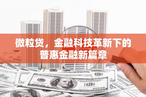 馆陶微粒贷，金融科技革新下的普惠金融新篇章