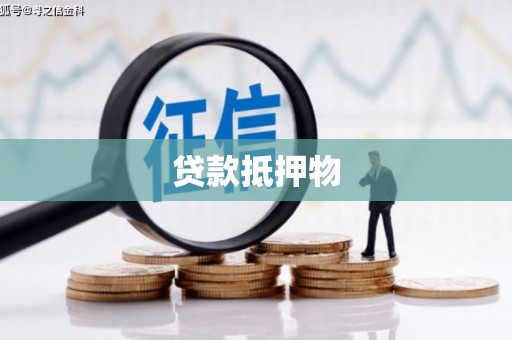 馆陶贷款抵押物