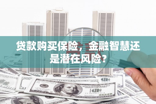 馆陶贷款购买保险，金融智慧还是潜在风险？