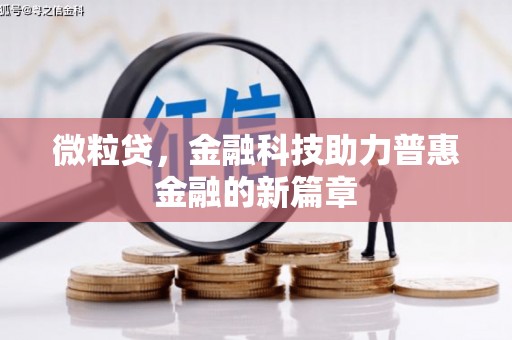 馆陶微粒贷，金融科技助力普惠金融的新篇章