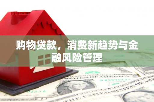 馆陶购物贷款，消费新趋势与金融风险管理
