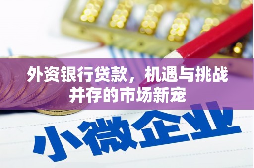 馆陶外资银行贷款，机遇与挑战并存的市场新宠