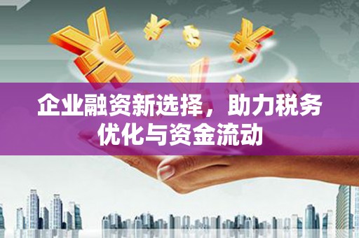 馆陶企业融资新选择，助力税务优化与资金流动
