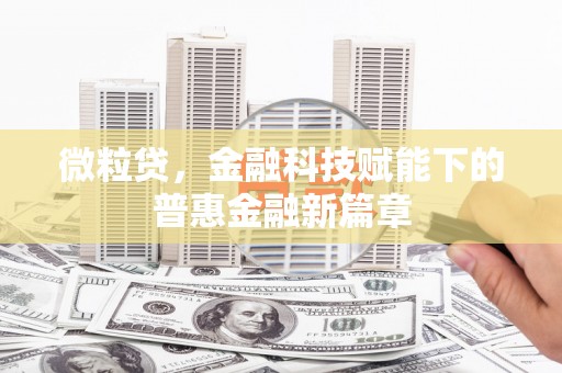 馆陶微粒贷，金融科技赋能下的普惠金融新篇章