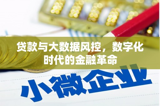馆陶贷款与大数据风控，数字化时代的金融革命