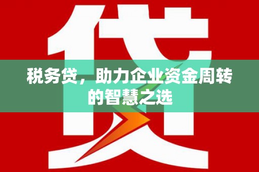 馆陶税务贷，助力企业资金周转的智慧之选