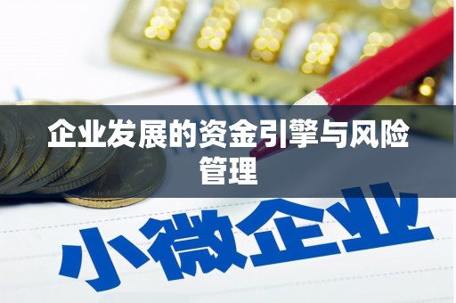 馆陶企业发展的资金引擎与风险管理
