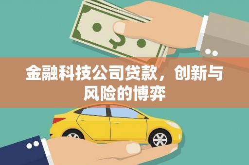 馆陶金融科技公司贷款，创新与风险的博弈