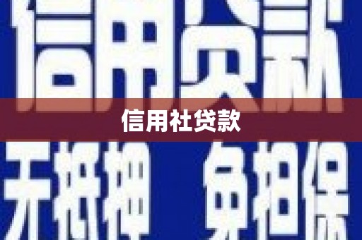 馆陶信用社贷款