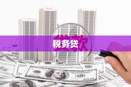 馆陶税务贷