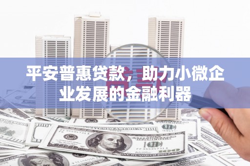 馆陶平安普惠贷款，助力小微企业发展的金融利器