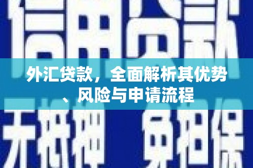 馆陶外汇贷款，全面解析其优势、风险与申请流程