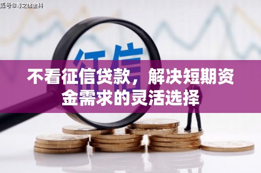 馆陶不看征信贷款，解决短期资金需求的灵活选择