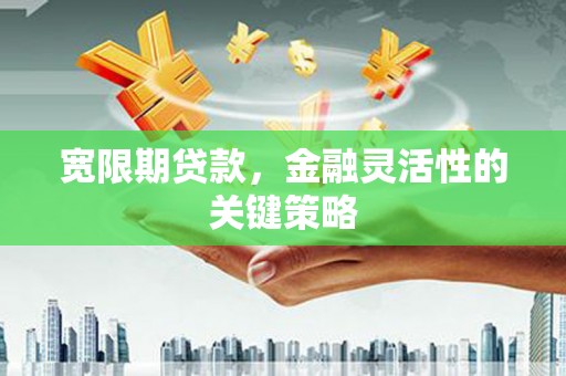 馆陶宽限期贷款，金融灵活性的关键策略
