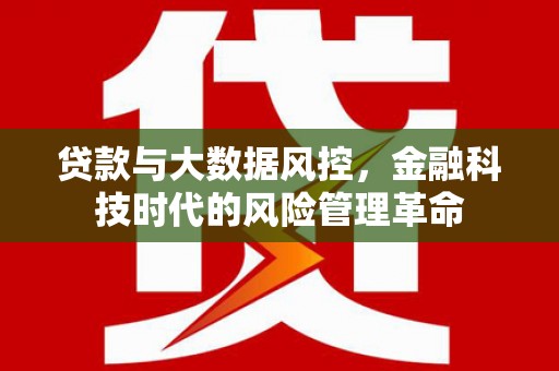 馆陶贷款与大数据风控，金融科技时代的风险管理革命