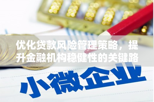 馆陶优化贷款风险管理策略，提升金融机构稳健性的关键路径