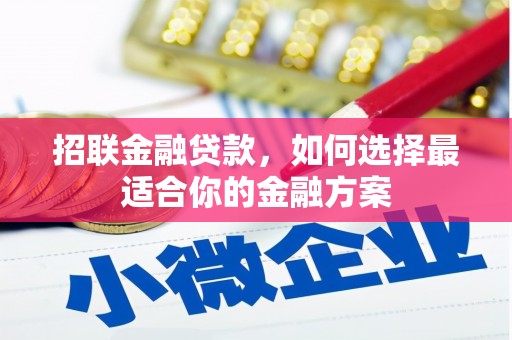 馆陶招联金融贷款，如何选择最适合你的金融方案