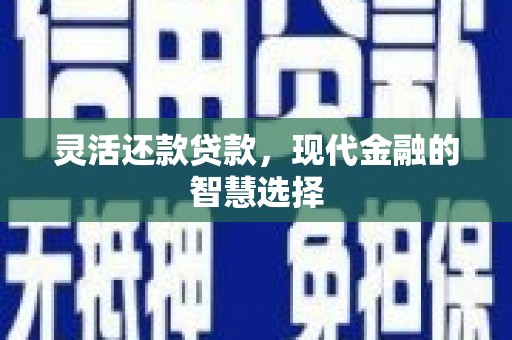 馆陶灵活还款贷款，现代金融的智慧选择