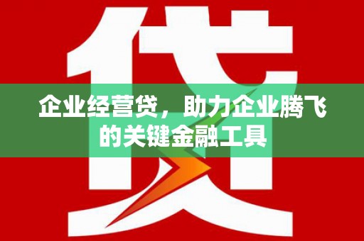馆陶企业经营贷，助力企业腾飞的关键金融工具