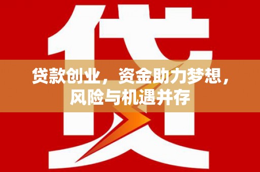 馆陶贷款创业，资金助力梦想，风险与机遇并存
