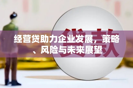 馆陶经营贷助力企业发展，策略、风险与未来展望