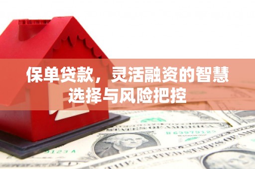 馆陶保单贷款，灵活融资的智慧选择与风险把控