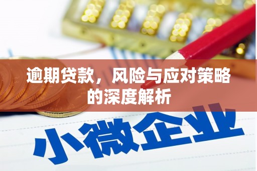 馆陶逾期贷款，风险与应对策略的深度解析