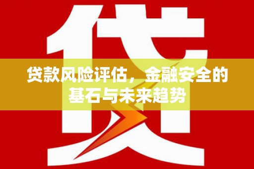 馆陶贷款风险评估，金融安全的基石与未来趋势