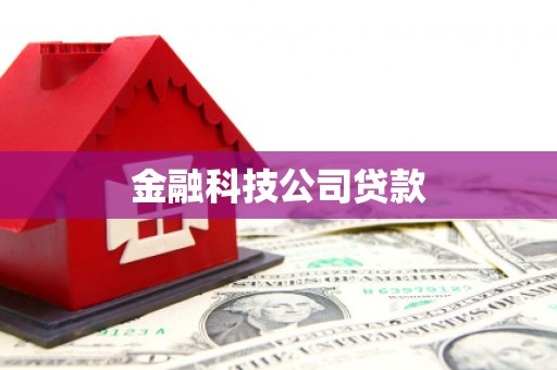 馆陶金融科技公司贷款