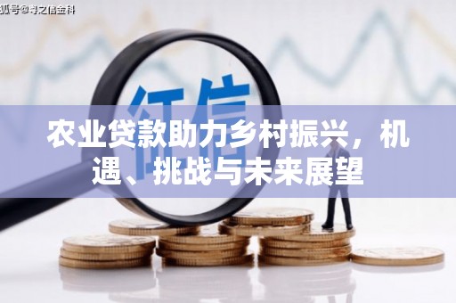 馆陶农业贷款助力乡村振兴，机遇、挑战与未来展望