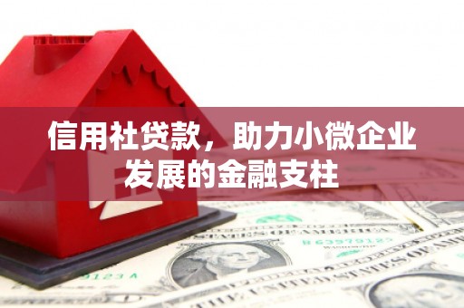 馆陶信用社贷款，助力小微企业发展的金融支柱