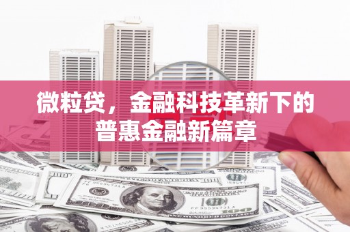 馆陶微粒贷，金融科技革新下的普惠金融新篇章