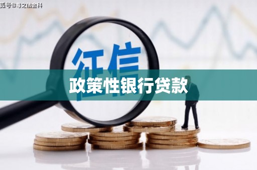馆陶政策性银行贷款
