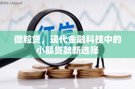 馆陶微粒贷，现代金融科技中的小额贷款新选择