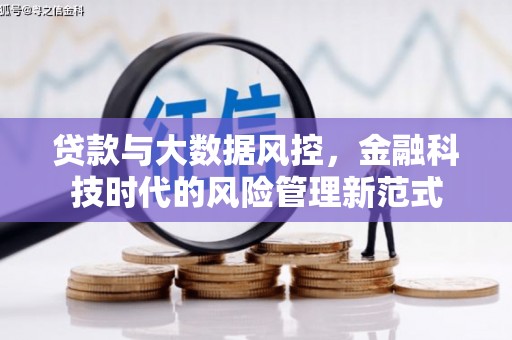 馆陶贷款与大数据风控，金融科技时代的风险管理新范式