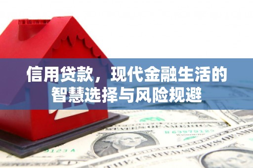 馆陶信用贷款，现代金融生活的智慧选择与风险规避