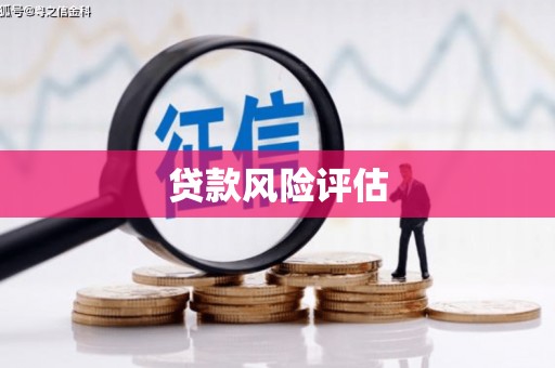 馆陶贷款风险评估