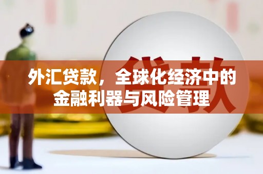 馆陶外汇贷款，全球化经济中的金融利器与风险管理
