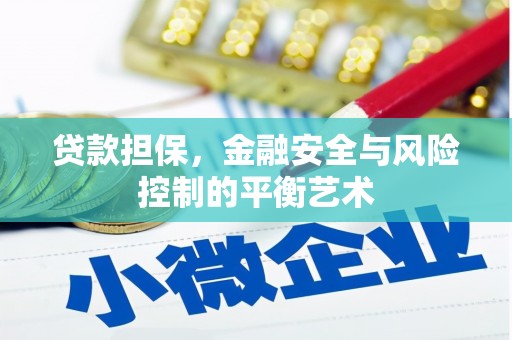 馆陶贷款担保，金融安全与风险控制的平衡艺术