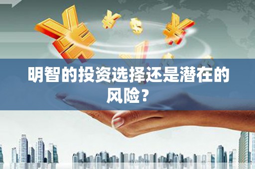 馆陶明智的投资选择还是潜在的风险？