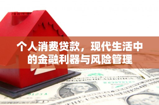 馆陶个人消费贷款，现代生活中的金融利器与风险管理