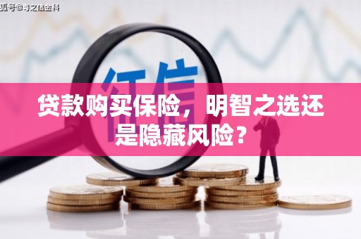 馆陶贷款购买保险，明智之选还是隐藏风险？