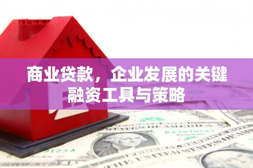 馆陶商业贷款，企业发展的关键融资工具与策略