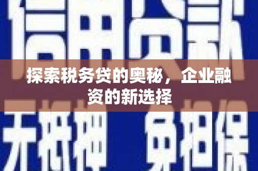 馆陶探索税务贷的奥秘，企业融资的新选择