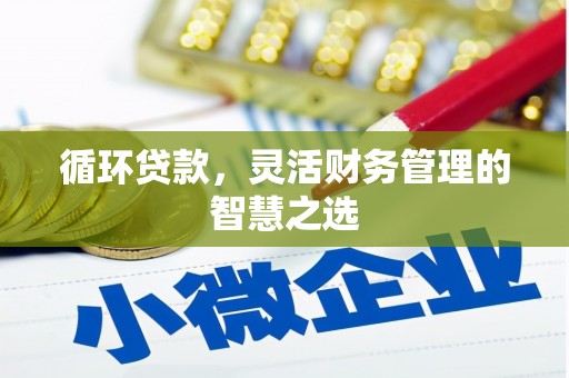 馆陶循环贷款，灵活财务管理的智慧之选
