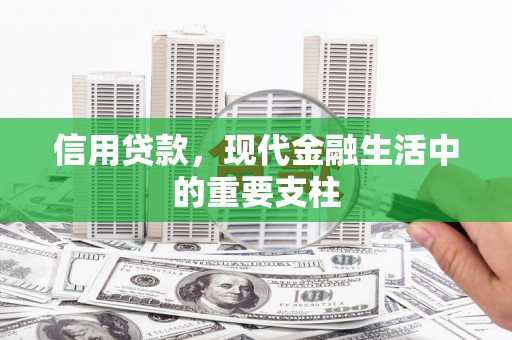 馆陶信用贷款，现代金融生活中的重要支柱