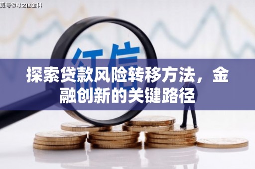 馆陶探索贷款风险转移方法，金融创新的关键路径