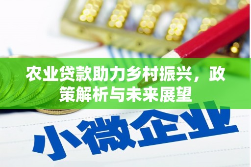 馆陶农业贷款助力乡村振兴，政策解析与未来展望