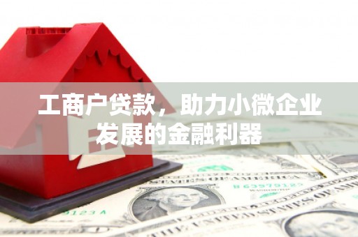 馆陶工商户贷款，助力小微企业发展的金融利器