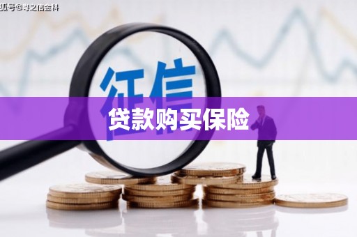馆陶贷款购买保险